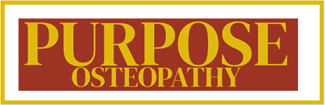 logo-2x